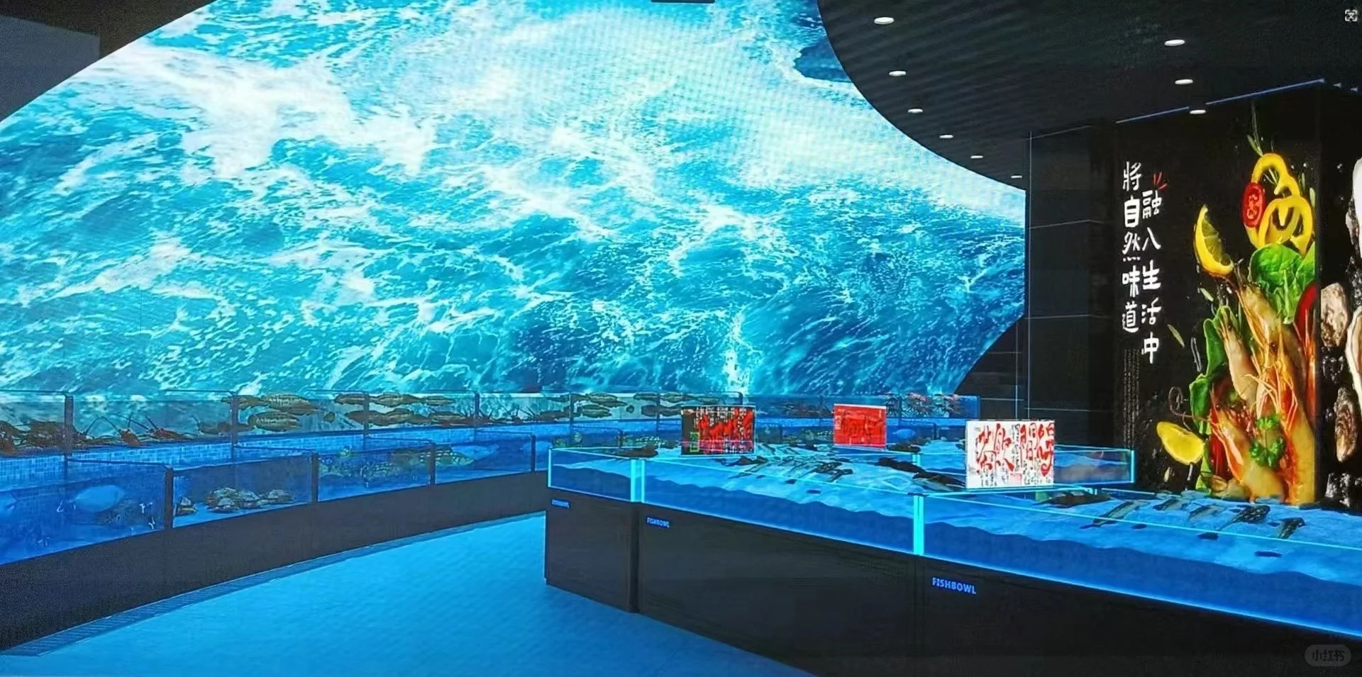 会展核心居住区