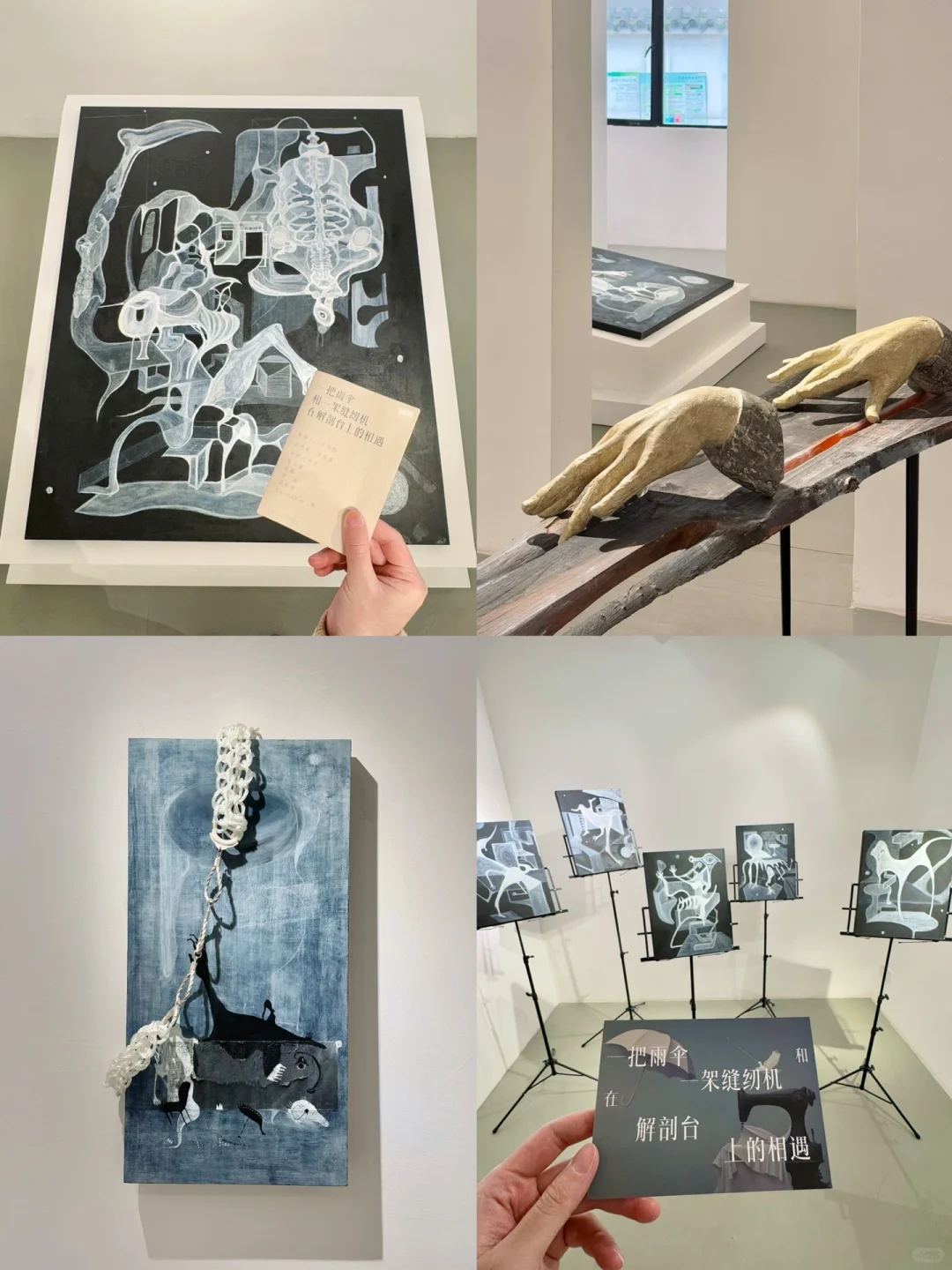 成都近期展览合集！！⭐️赶快码住（大部分免费