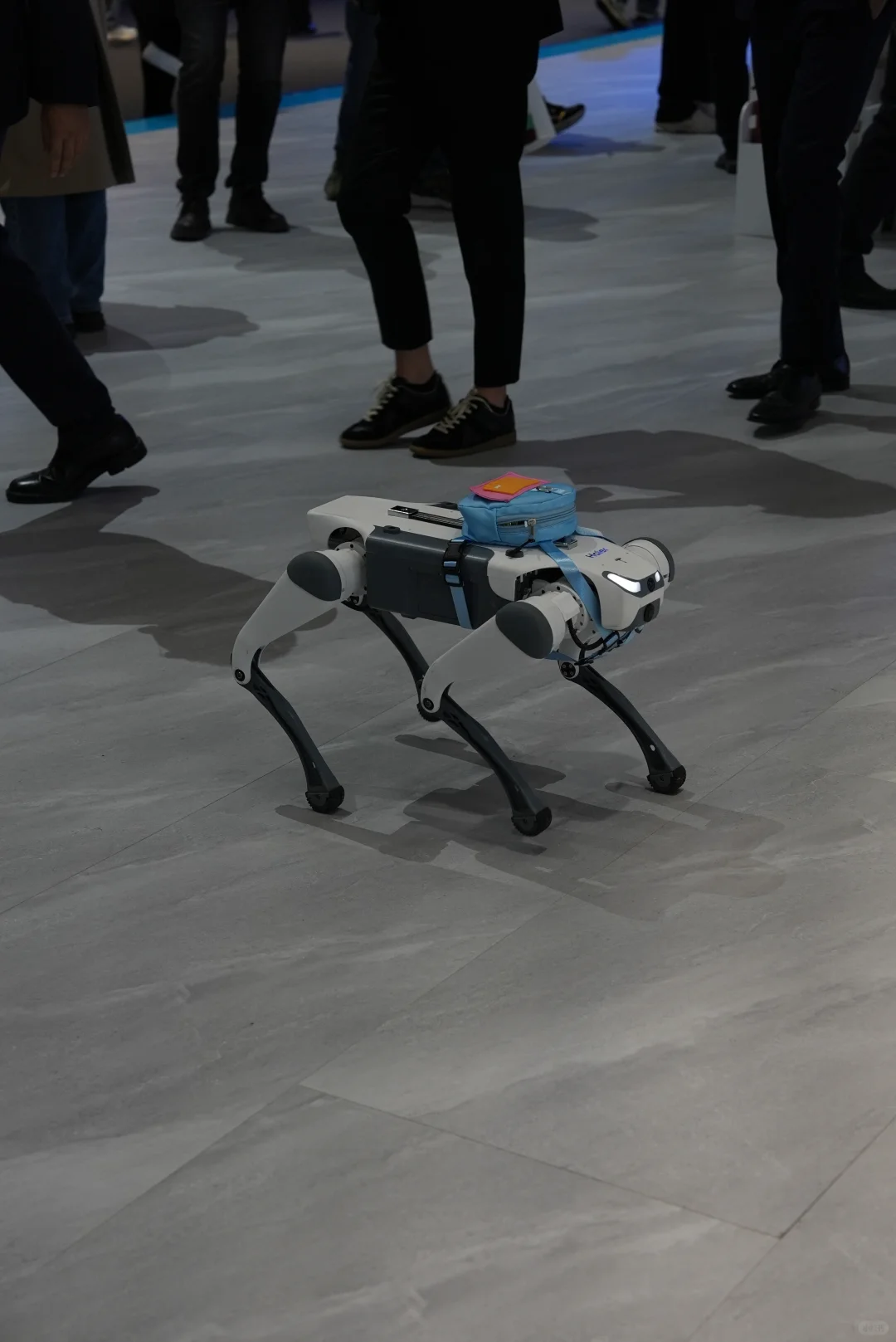 ✨ 2025AWE家电展一日行｜科技与美学的碰撞 ✨