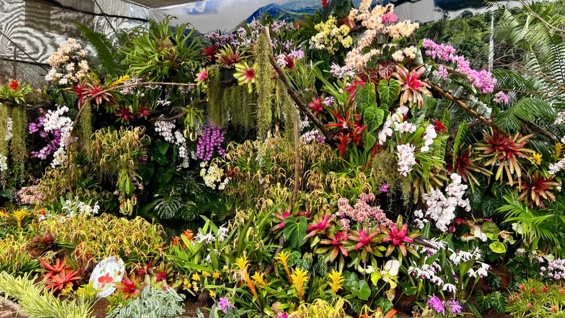 深圳热植展攻略TIPS 附展会清单版