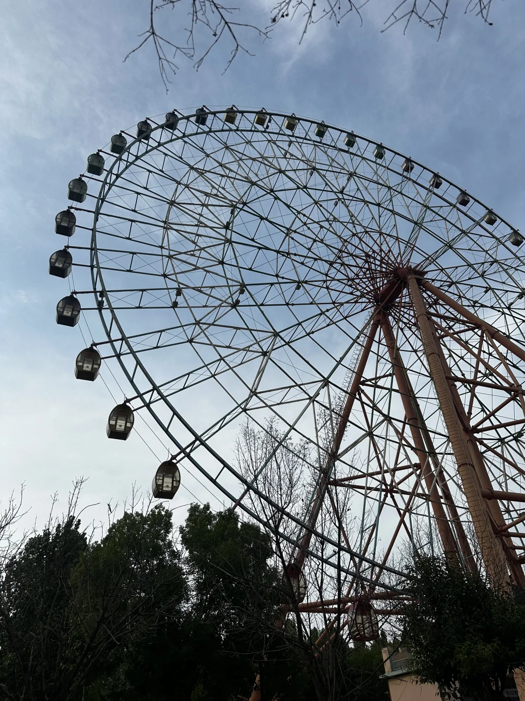 极限大学生往返南京?邯郸 电车环游??