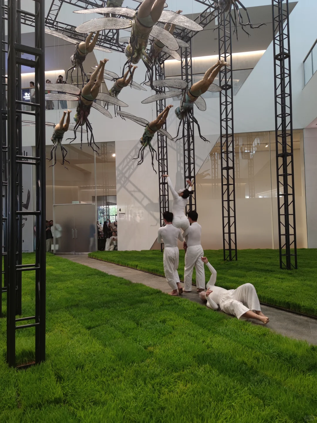 深圳新展·贈?｜超现实！巨型生物艺术