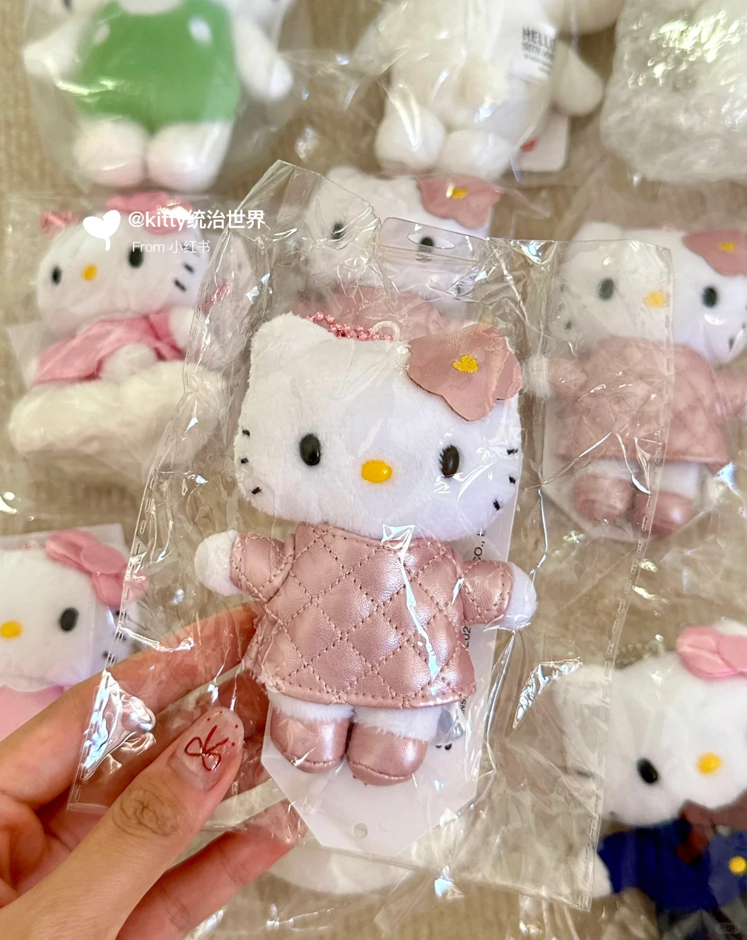 未来中古款预定