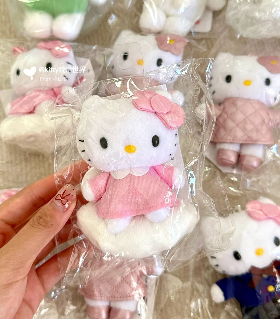 未来中古款预定