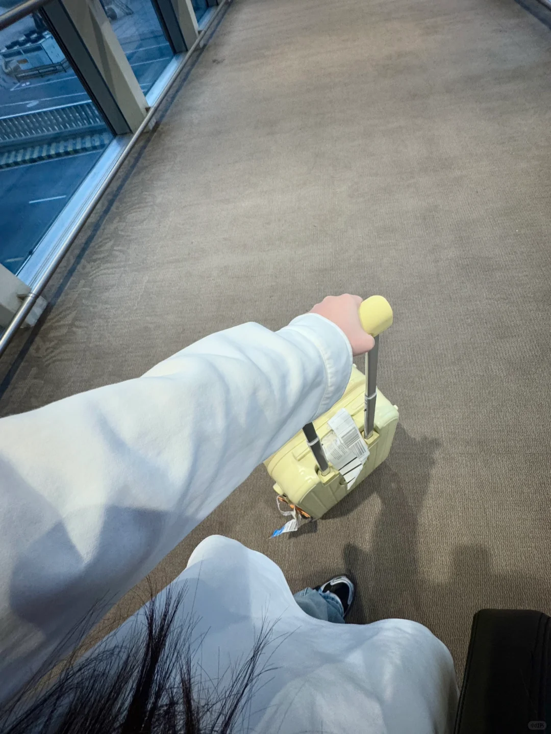 会展Plog｜会展执行都做什么？