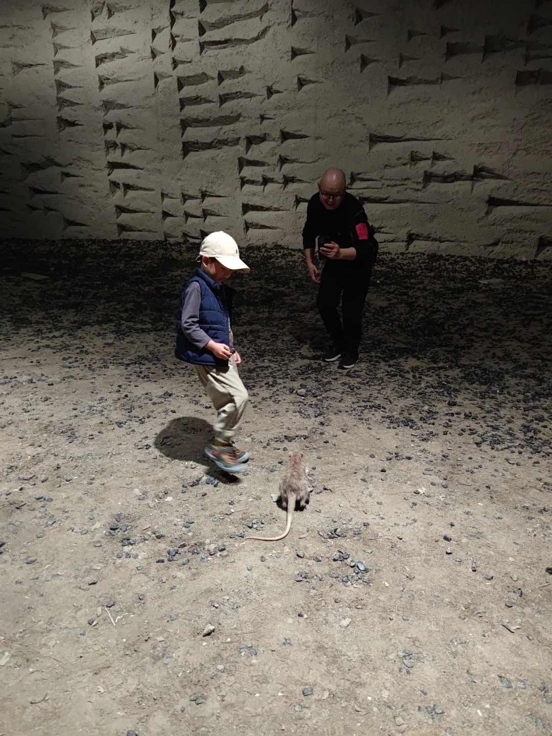 深圳新展·贈?｜超现实！巨型生物艺术