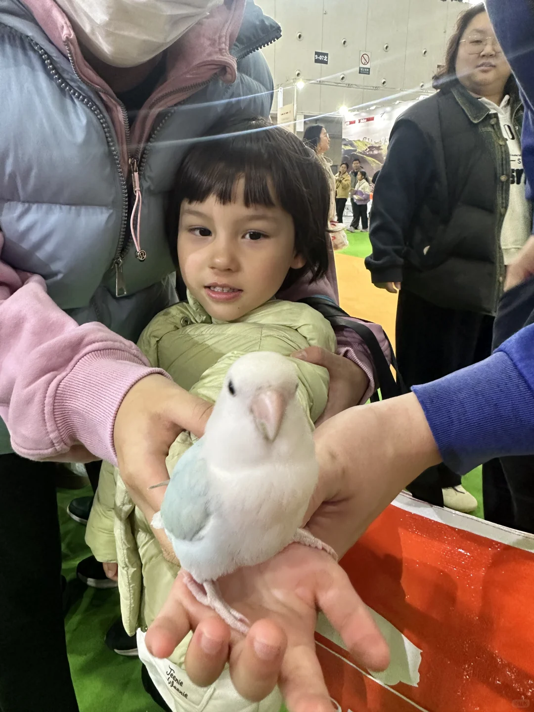 世界宠物博览会 南京站薅羊毛