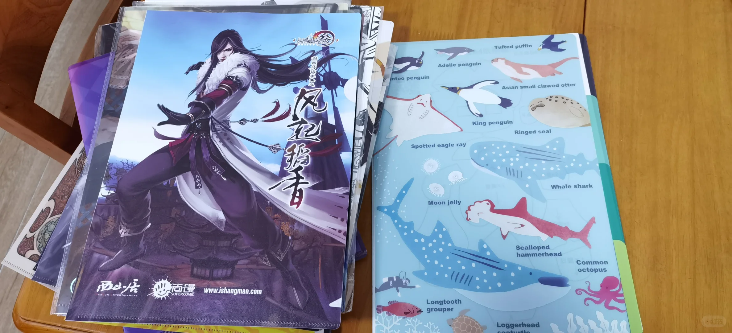 我真的挺喜欢文件夹这种制品的