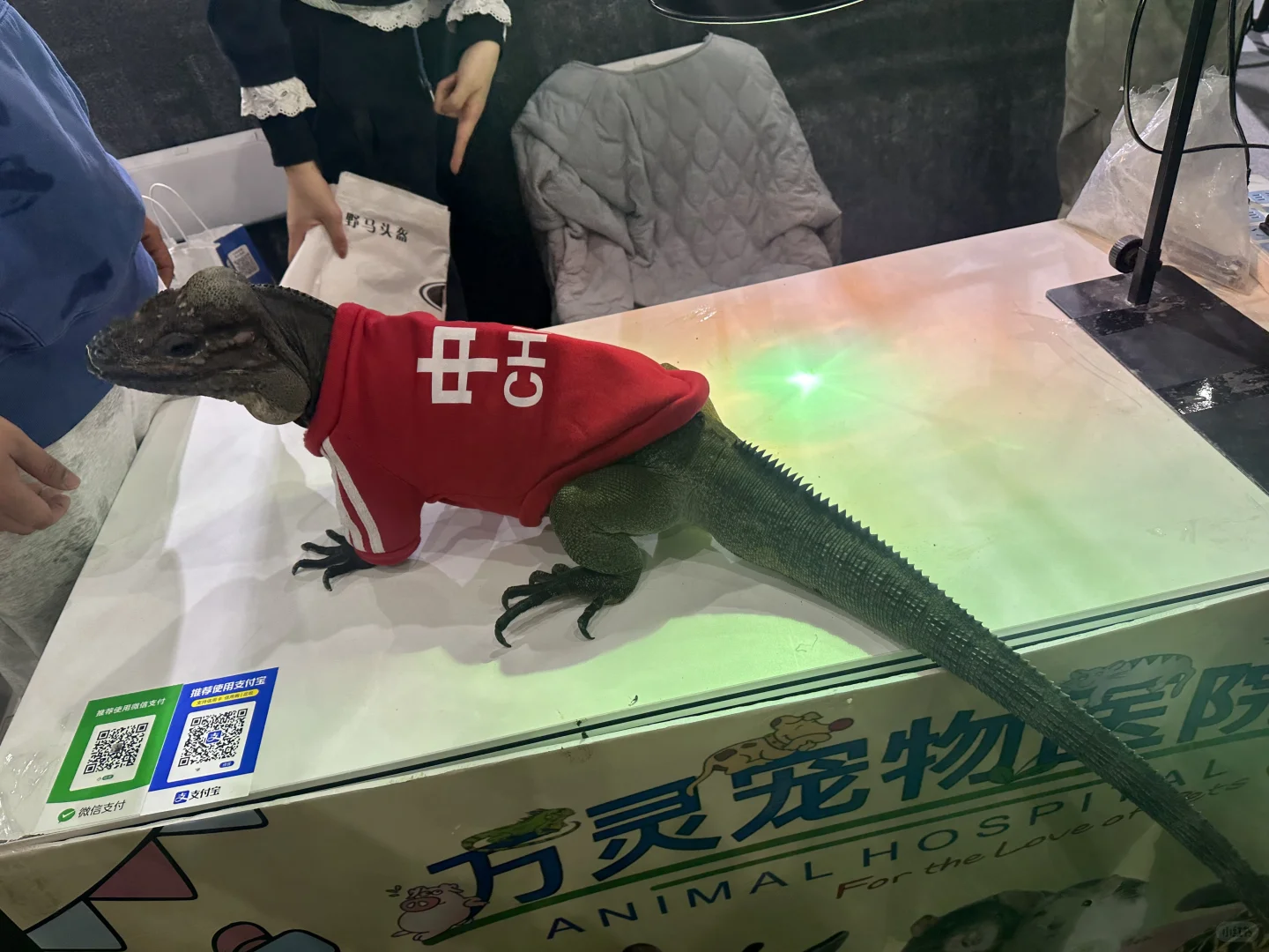 世界宠物博览会 南京站薅羊毛