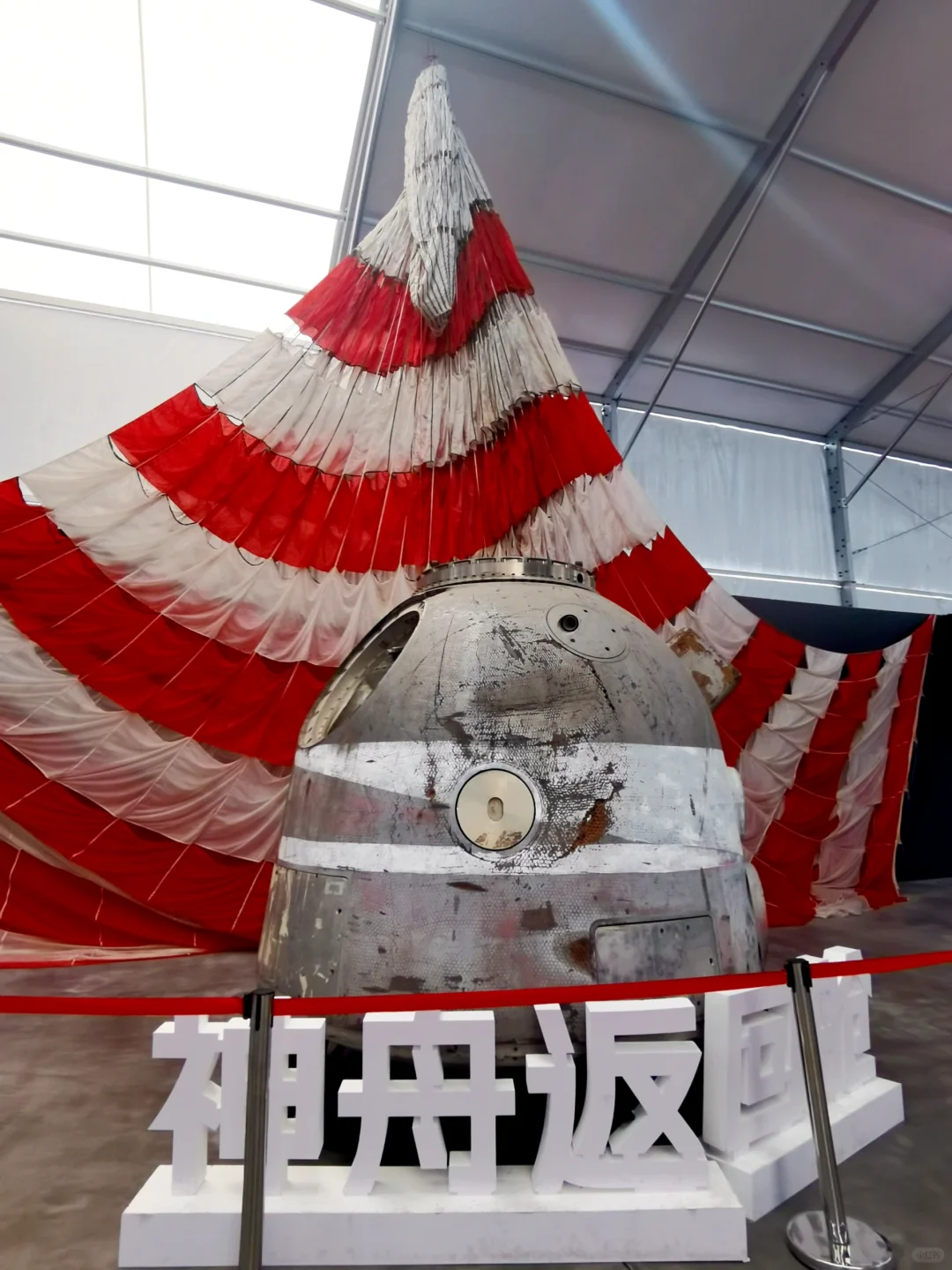 没错,我就是那个不听劝的大冤种!?