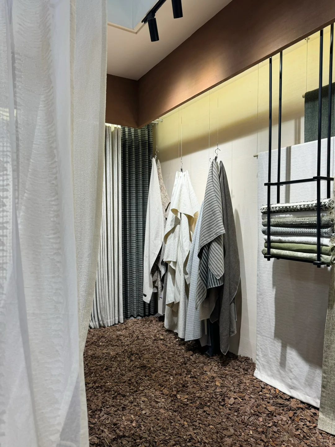 看展?｜美，是有共性的✌️