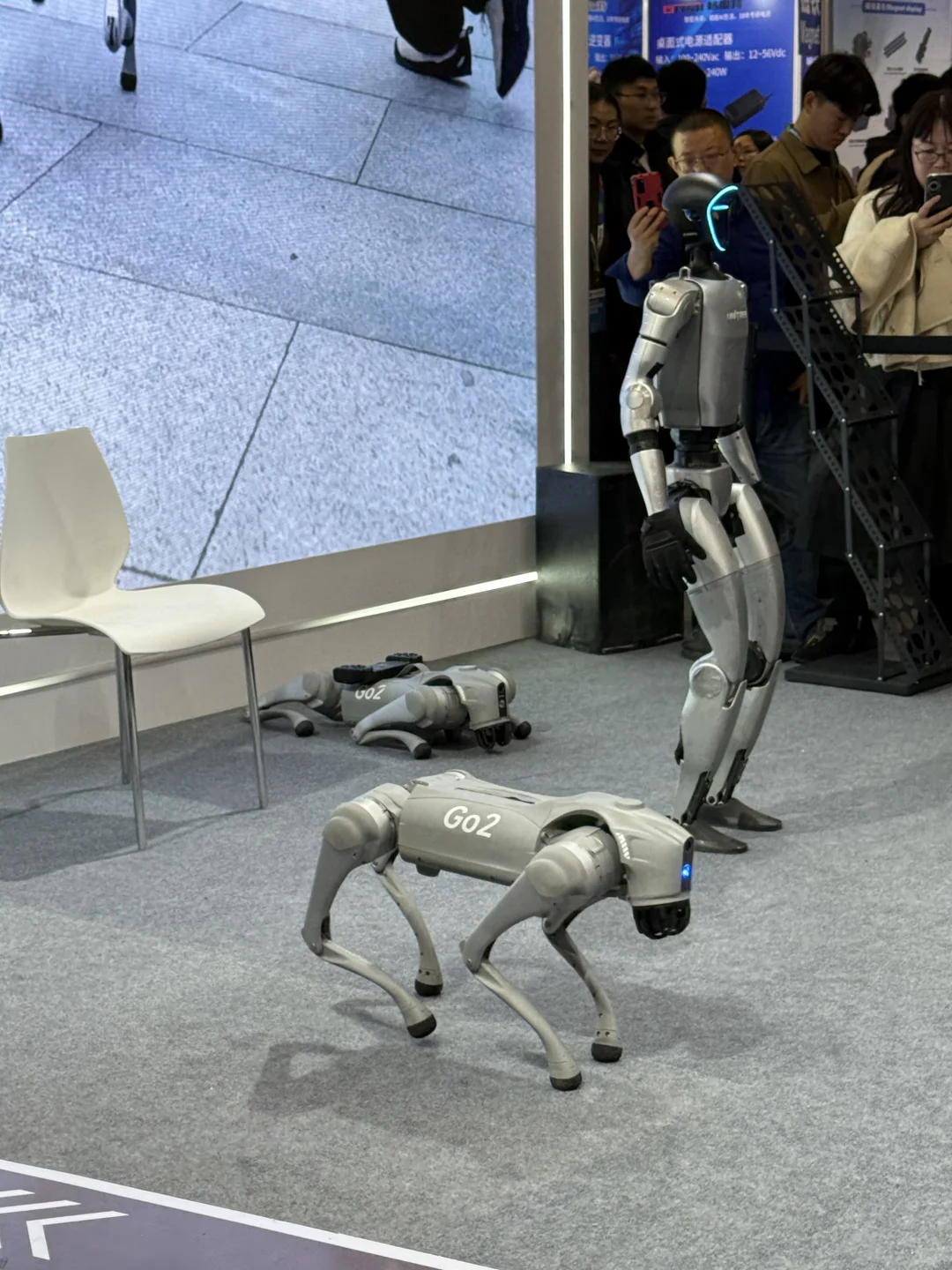 上海AWE 2025第1天！3h战绩‼️（附羊毛攻略）