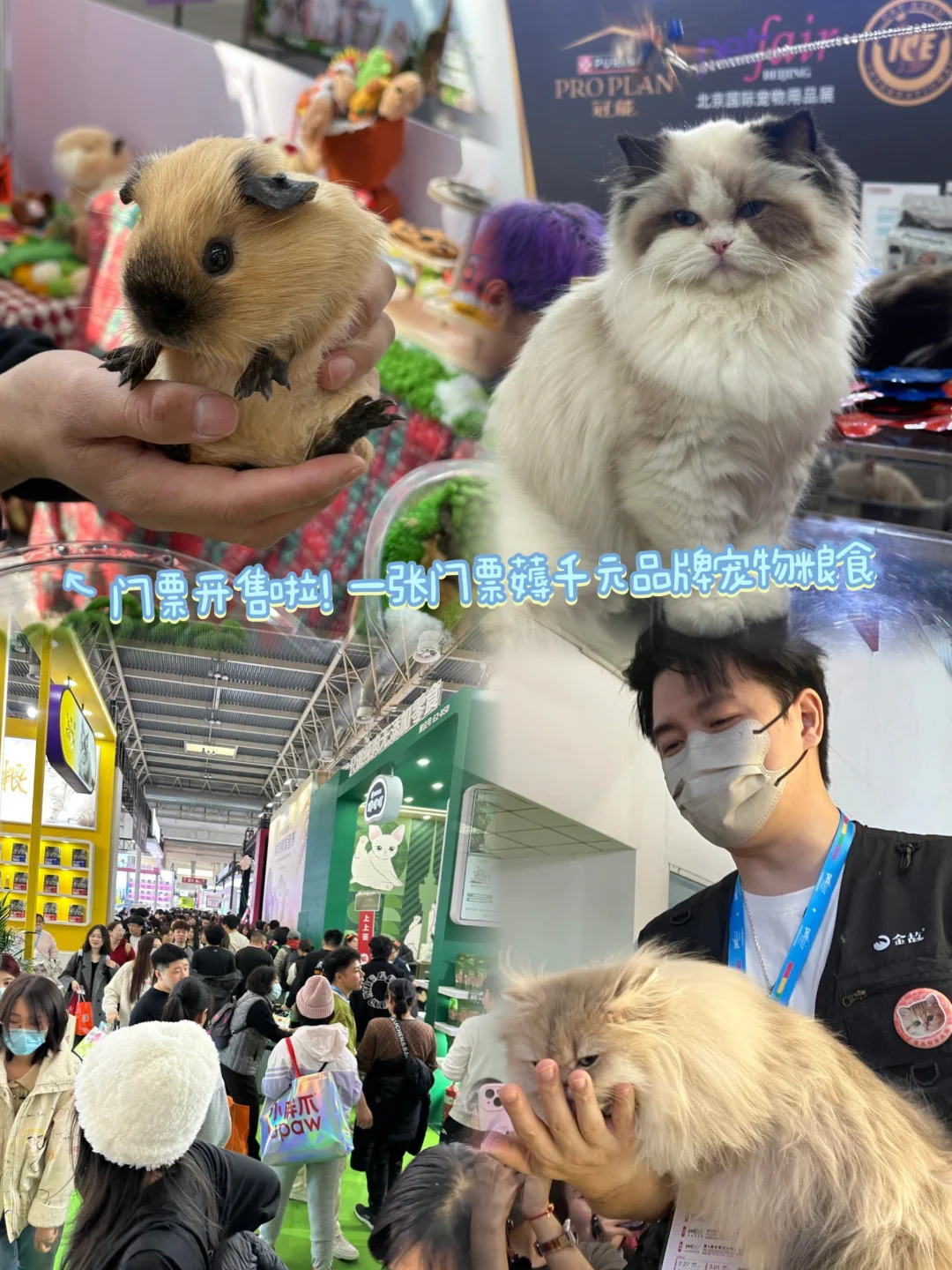 石家庄国际博览中心