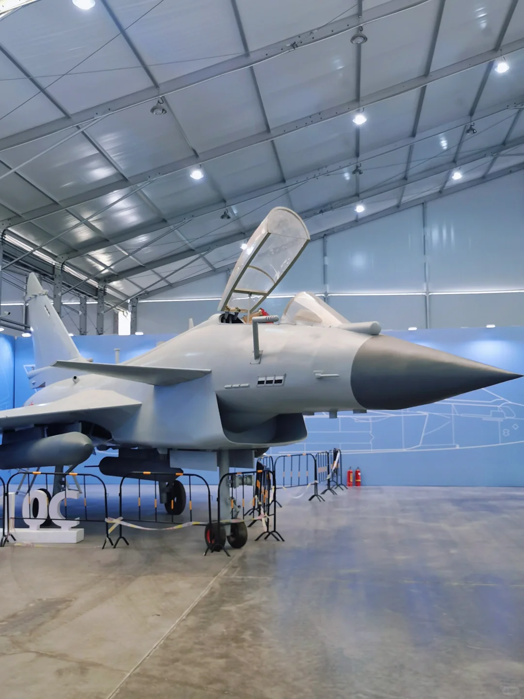 没错,我就是那个不听劝的大冤种!?