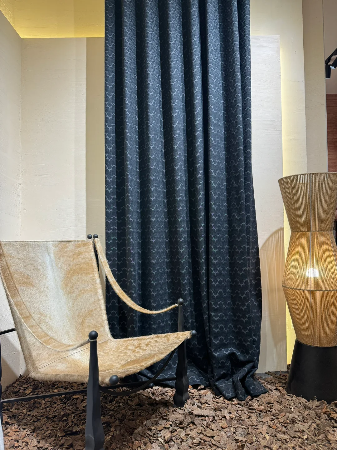 看展?｜美，是有共性的✌️