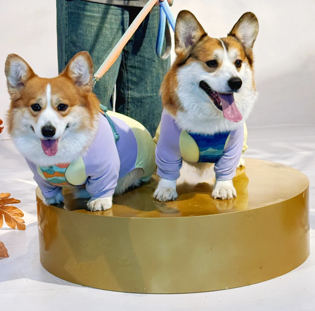 去宠物博览会玩啦！