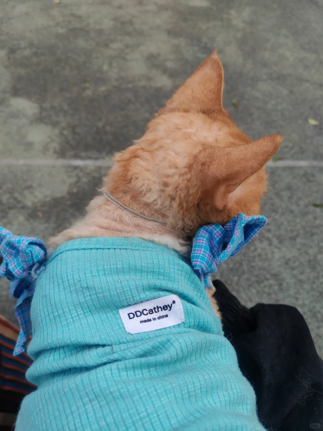 好玩✌️爱玩✌️