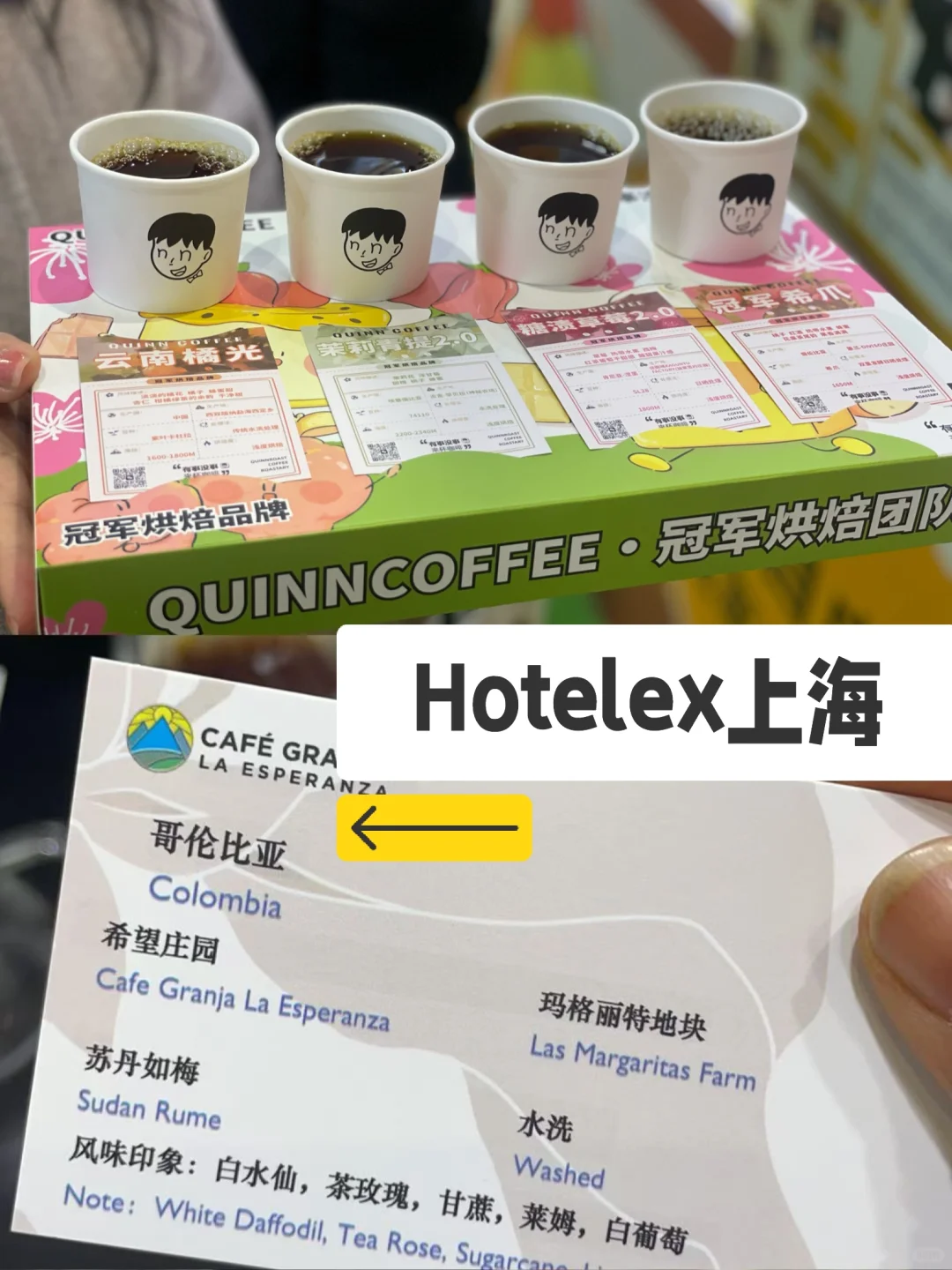 Hotelex上海Day1 ｜今日性价比之王