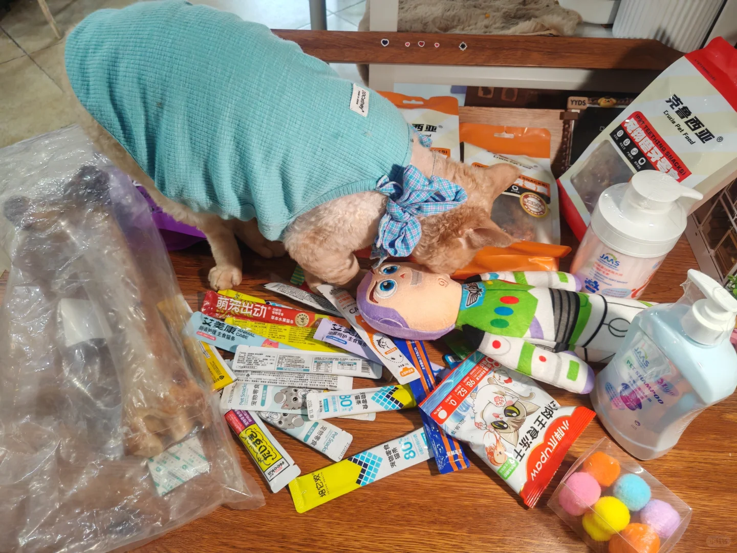 好玩✌️爱玩✌️