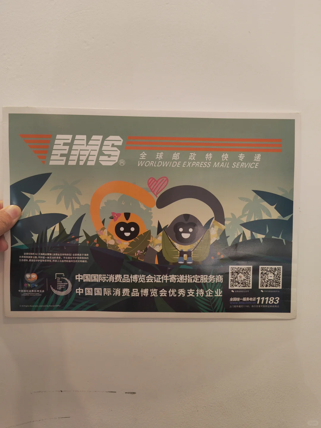 今年的消博会你报名了吗？