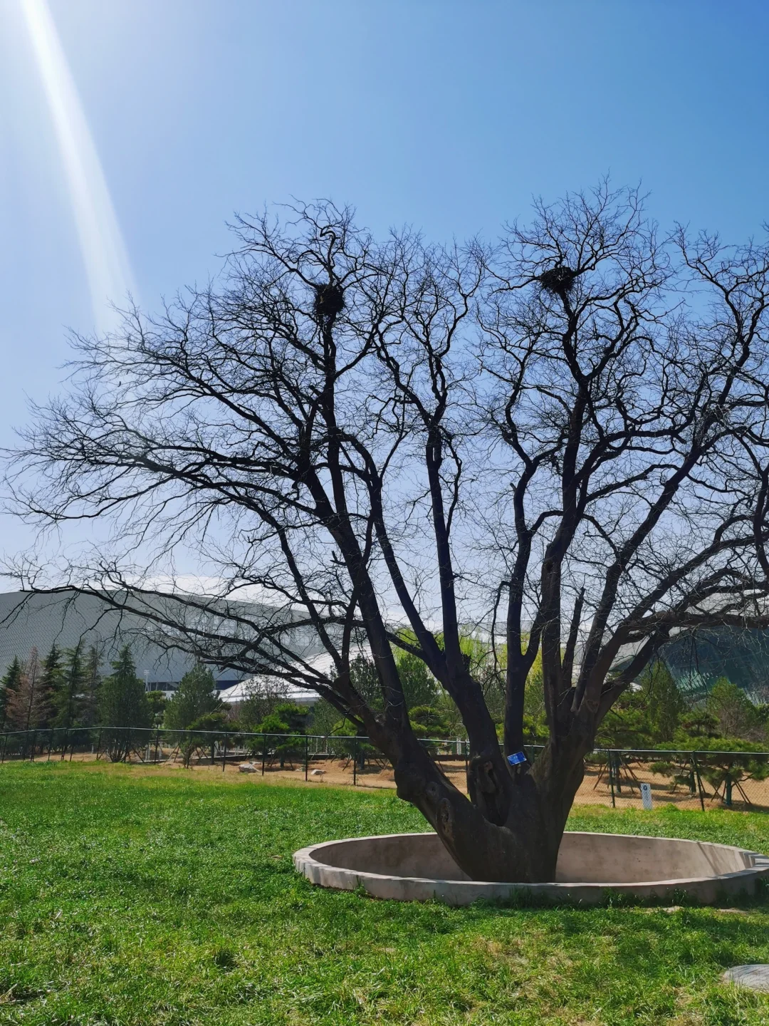 没错,我就是那个不听劝的大冤种!?