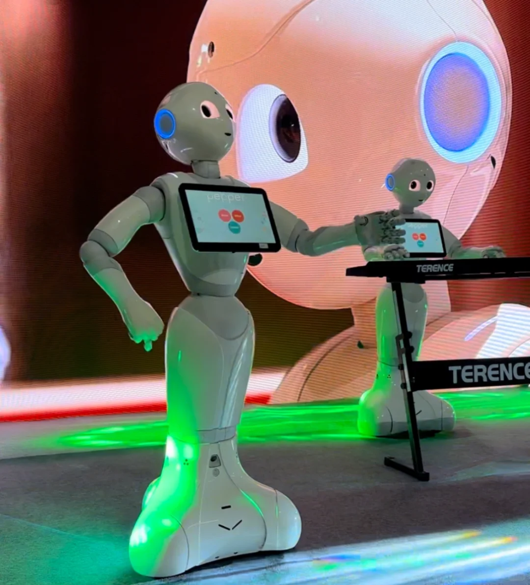 ?冲着Ai热度抢了票，结果全家大冤种‼️