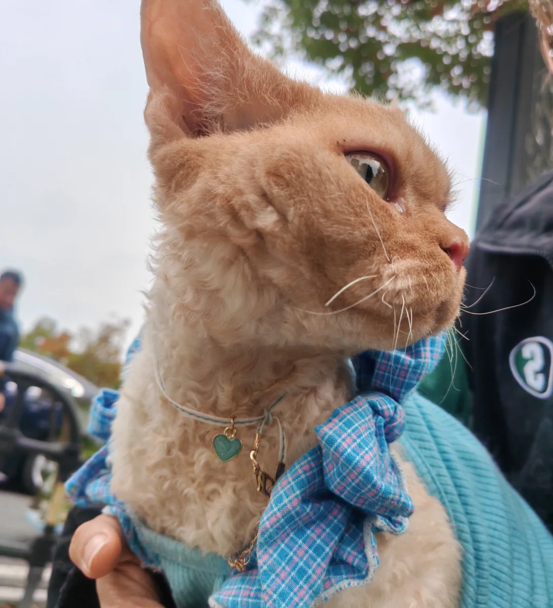 好玩✌️爱玩✌️