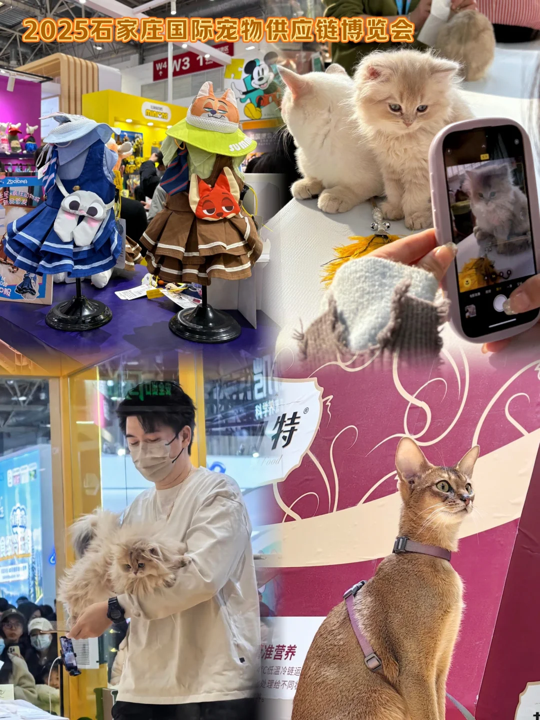 石家庄国际博览中心