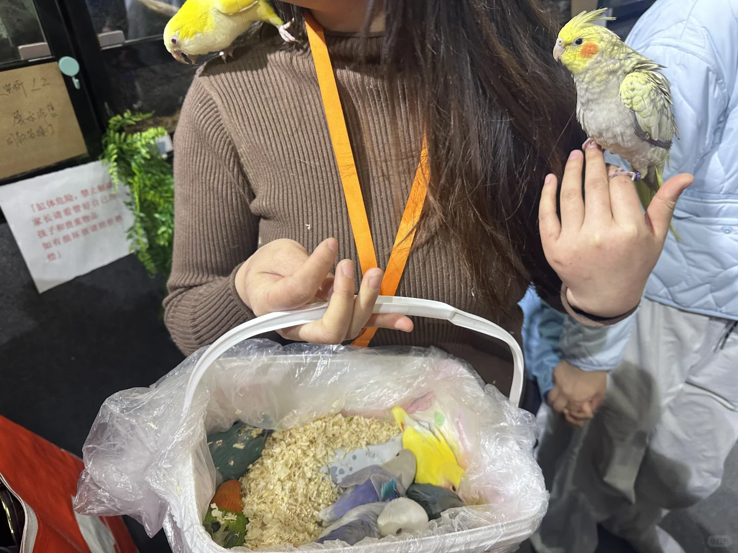 世界宠物博览会 南京站薅羊毛