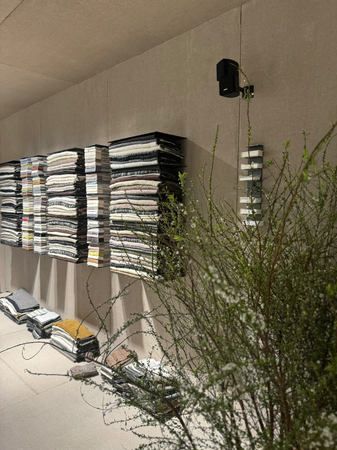 看展?｜美，是有共性的✌️