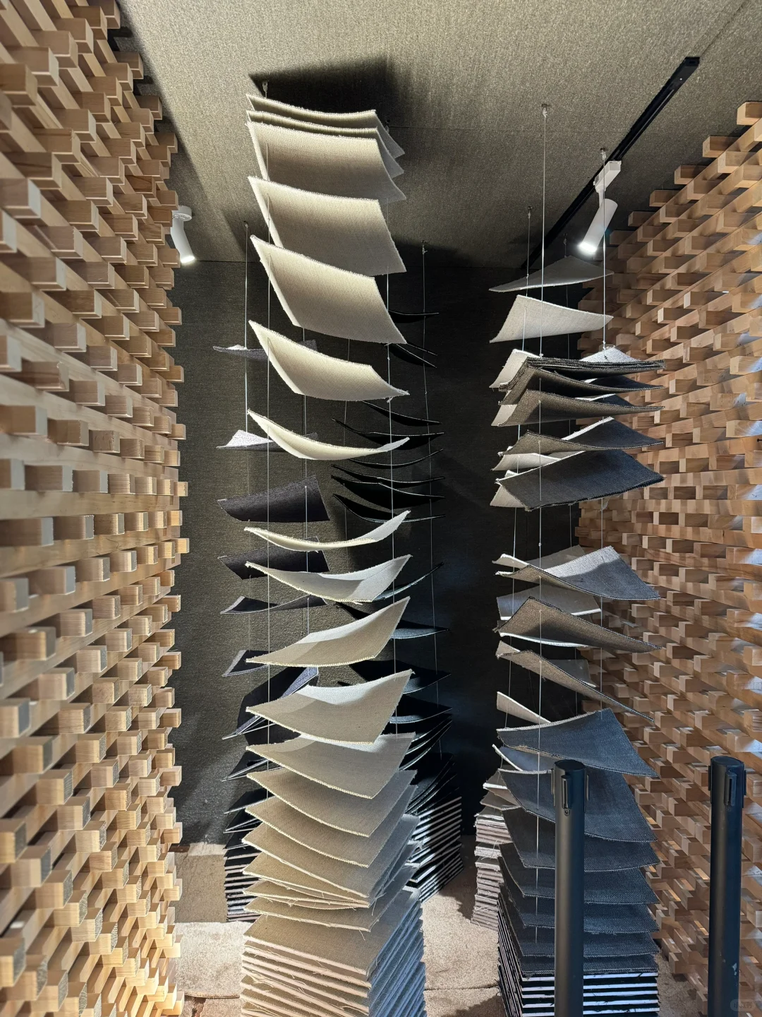 看展?｜美，是有共性的✌️