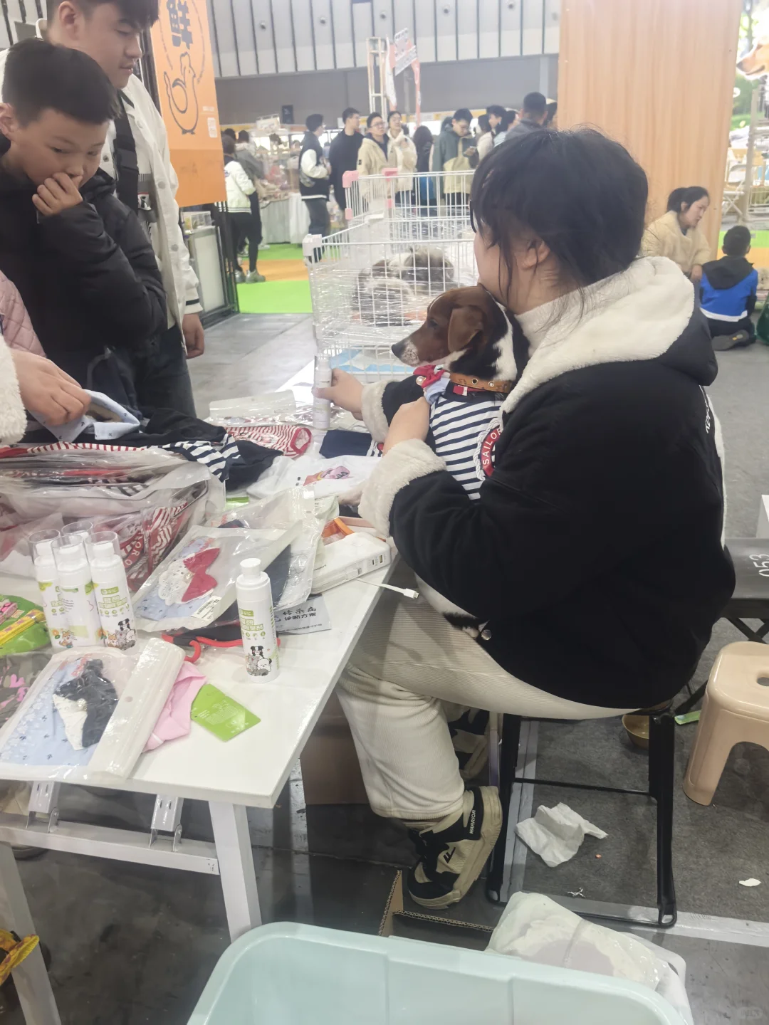 世宠会撸羊毛现场