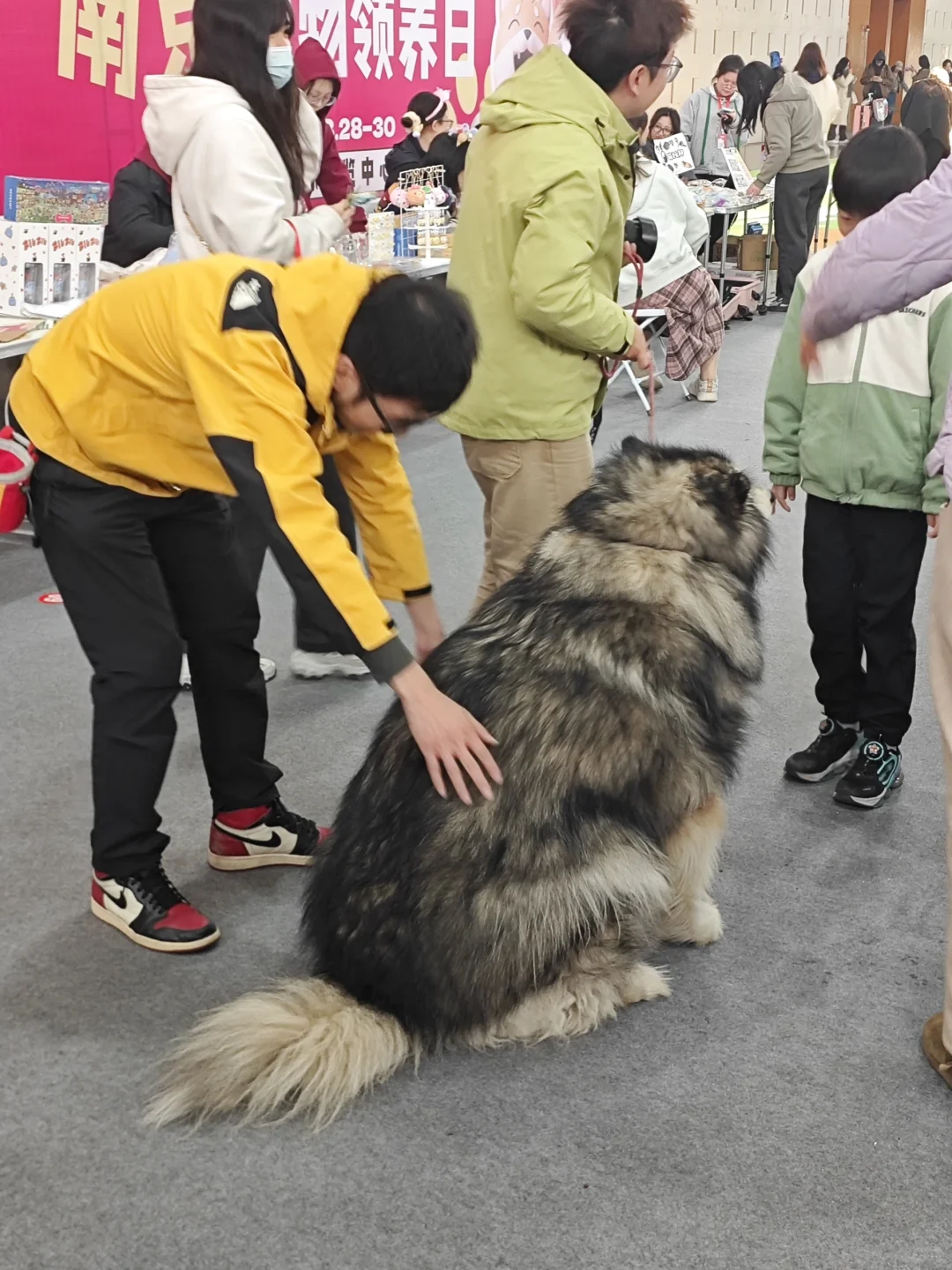 好玩✌️爱玩✌️