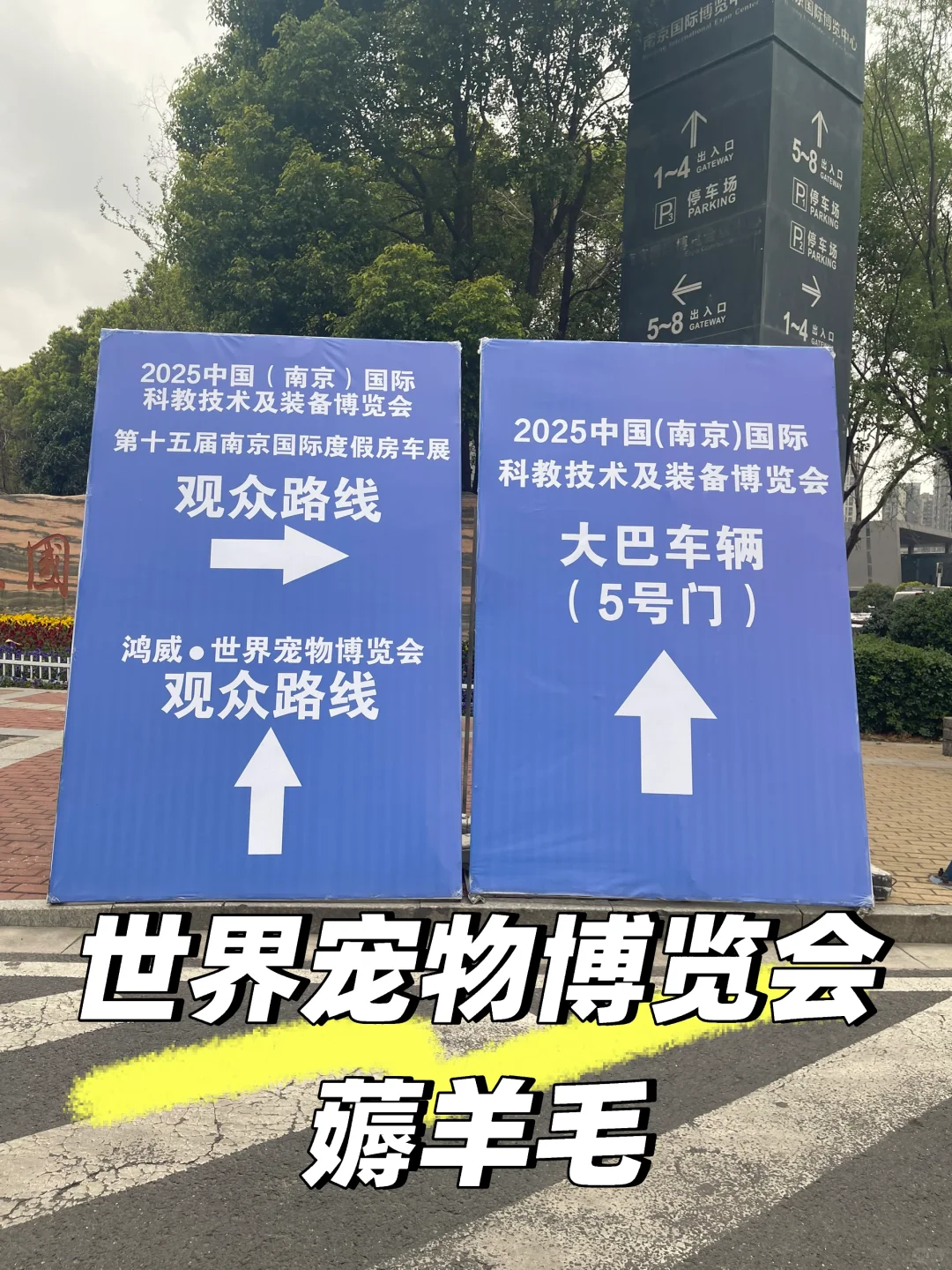 南京世界宠物博览会?今日收获