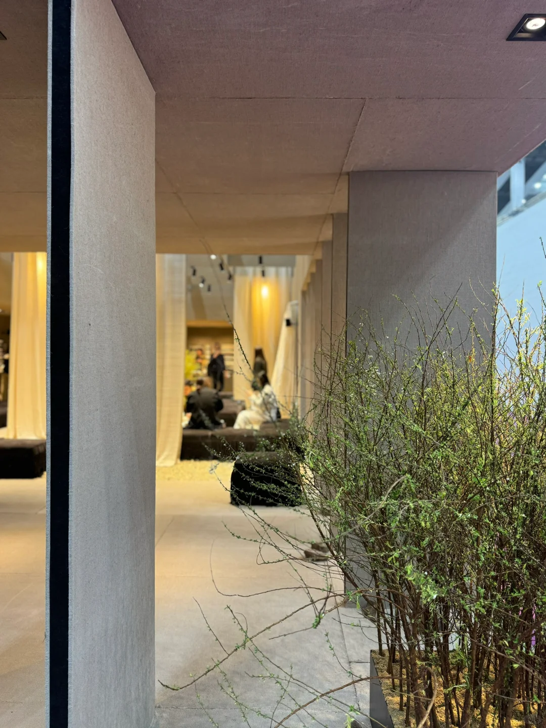 看展?｜美，是有共性的✌️