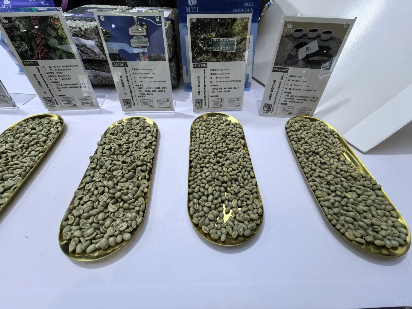 Hotelex，收获满满