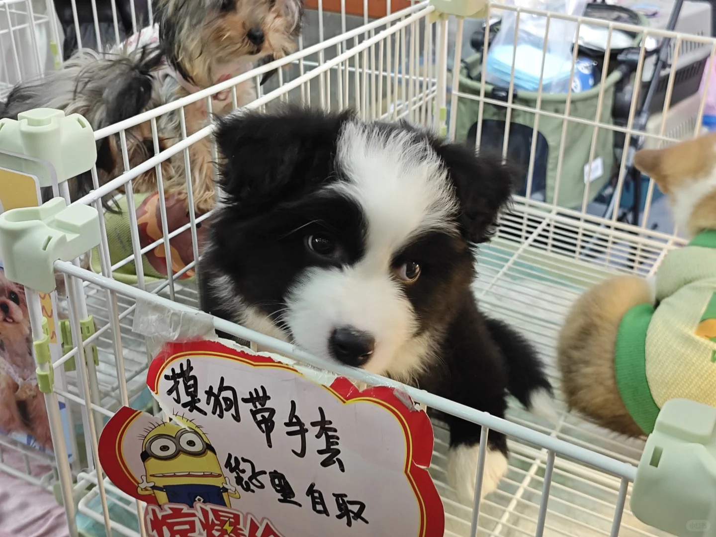 好玩✌️爱玩✌️