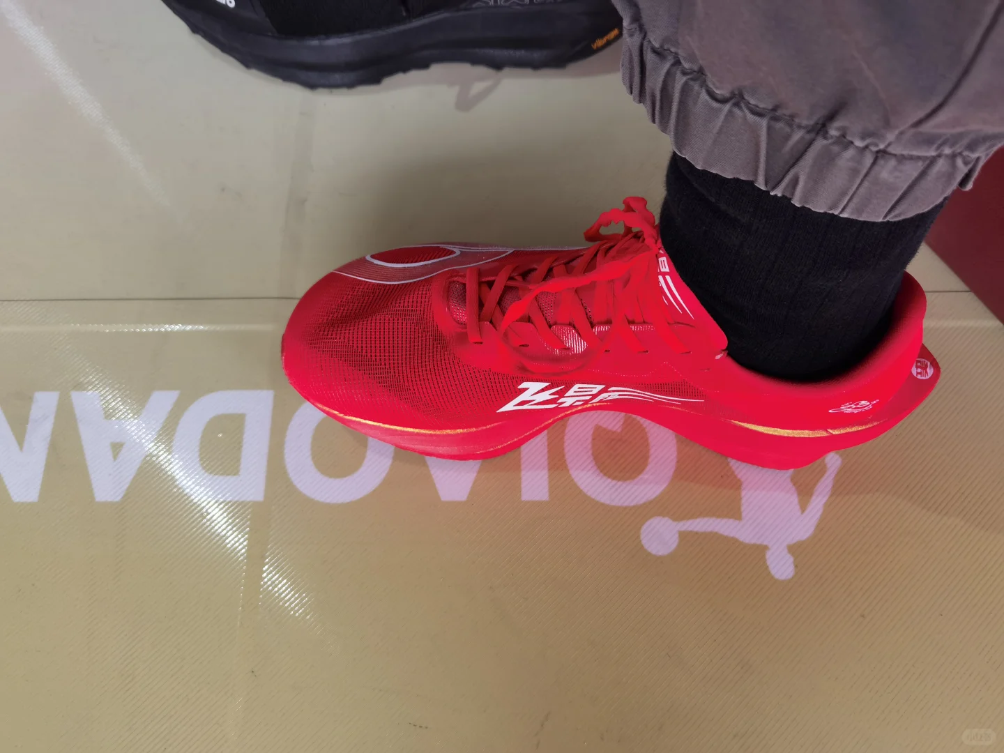 石马博览会 中乔展位