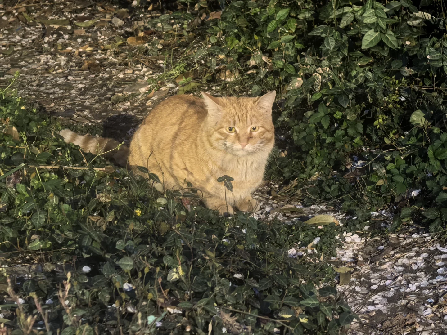 Hotelex，收获满满