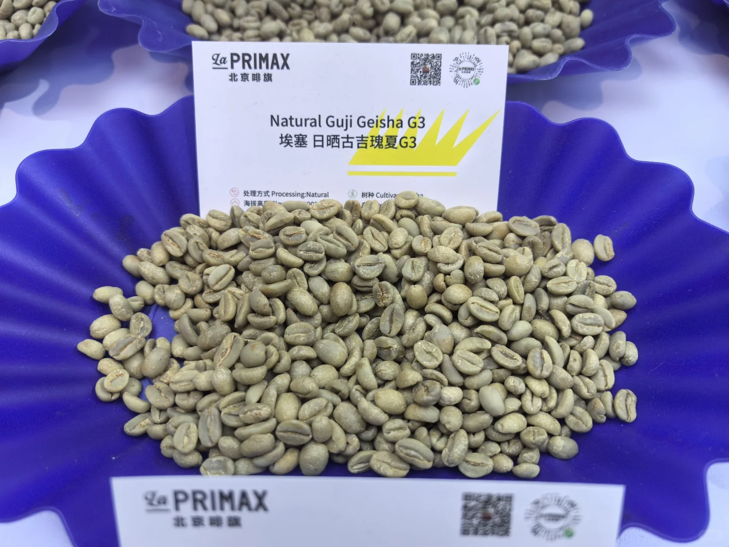 Hotelex，收获满满