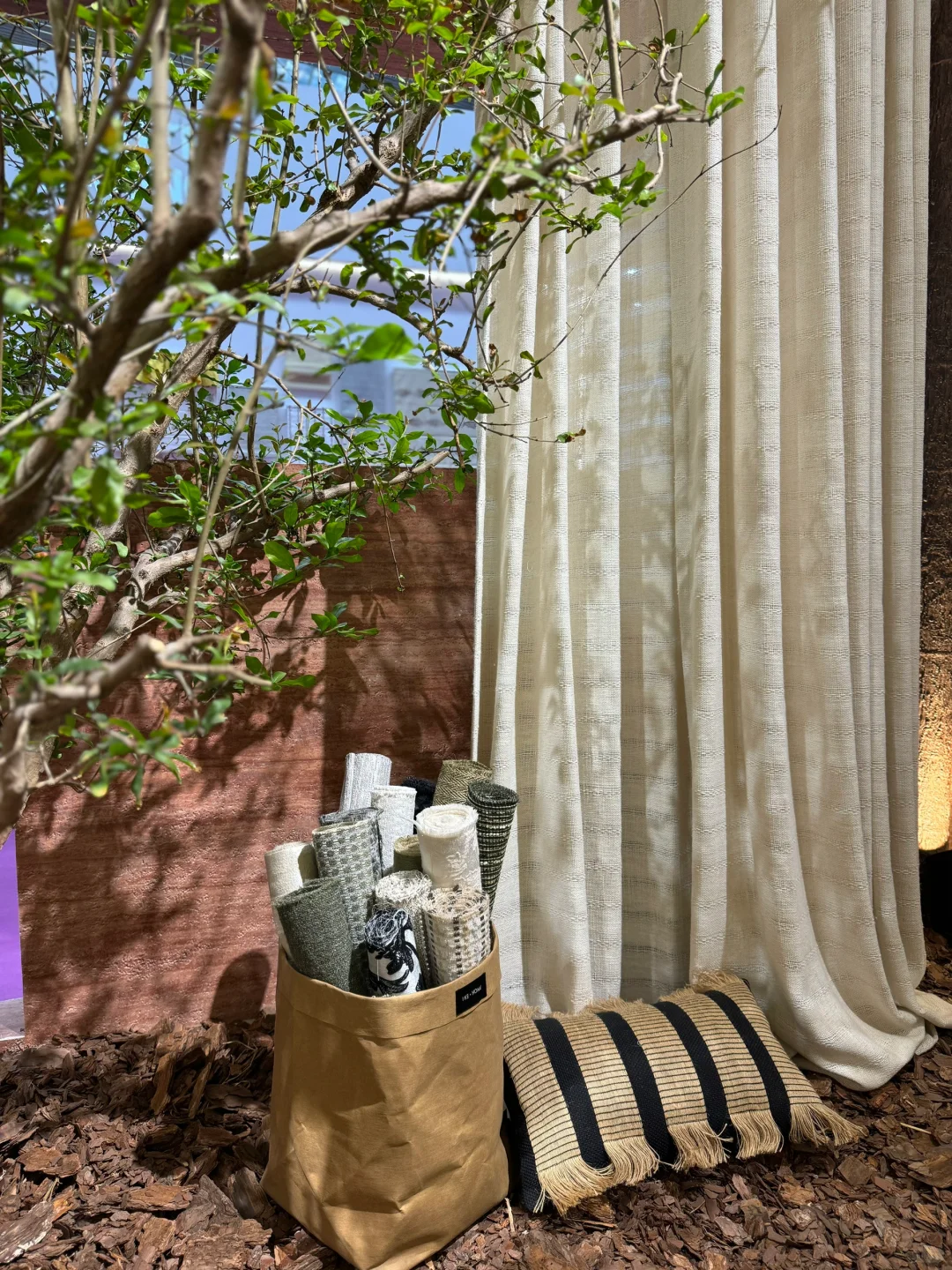 看展?｜美，是有共性的✌️