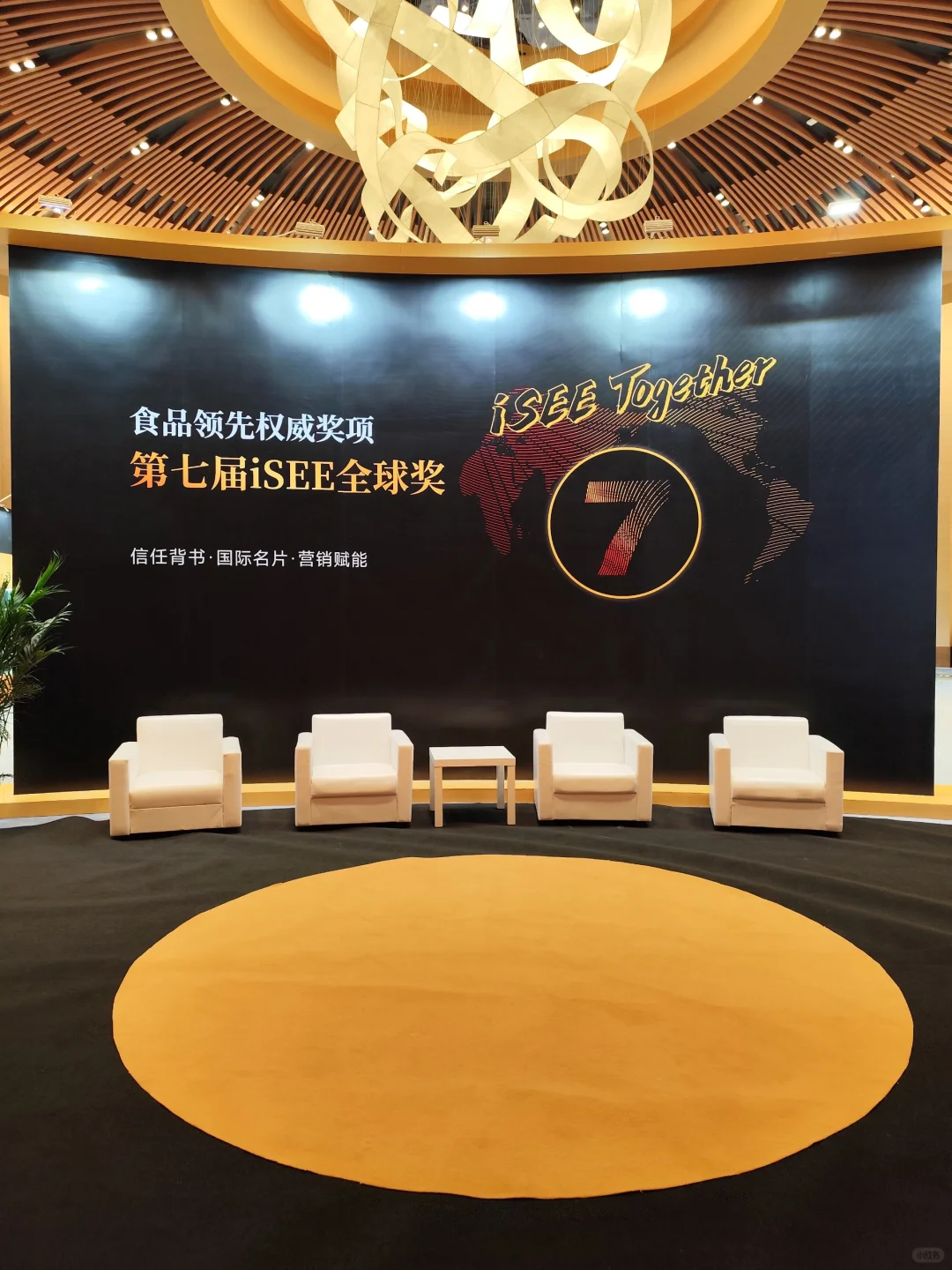 4.2馆打卡馒头白开水羊毛