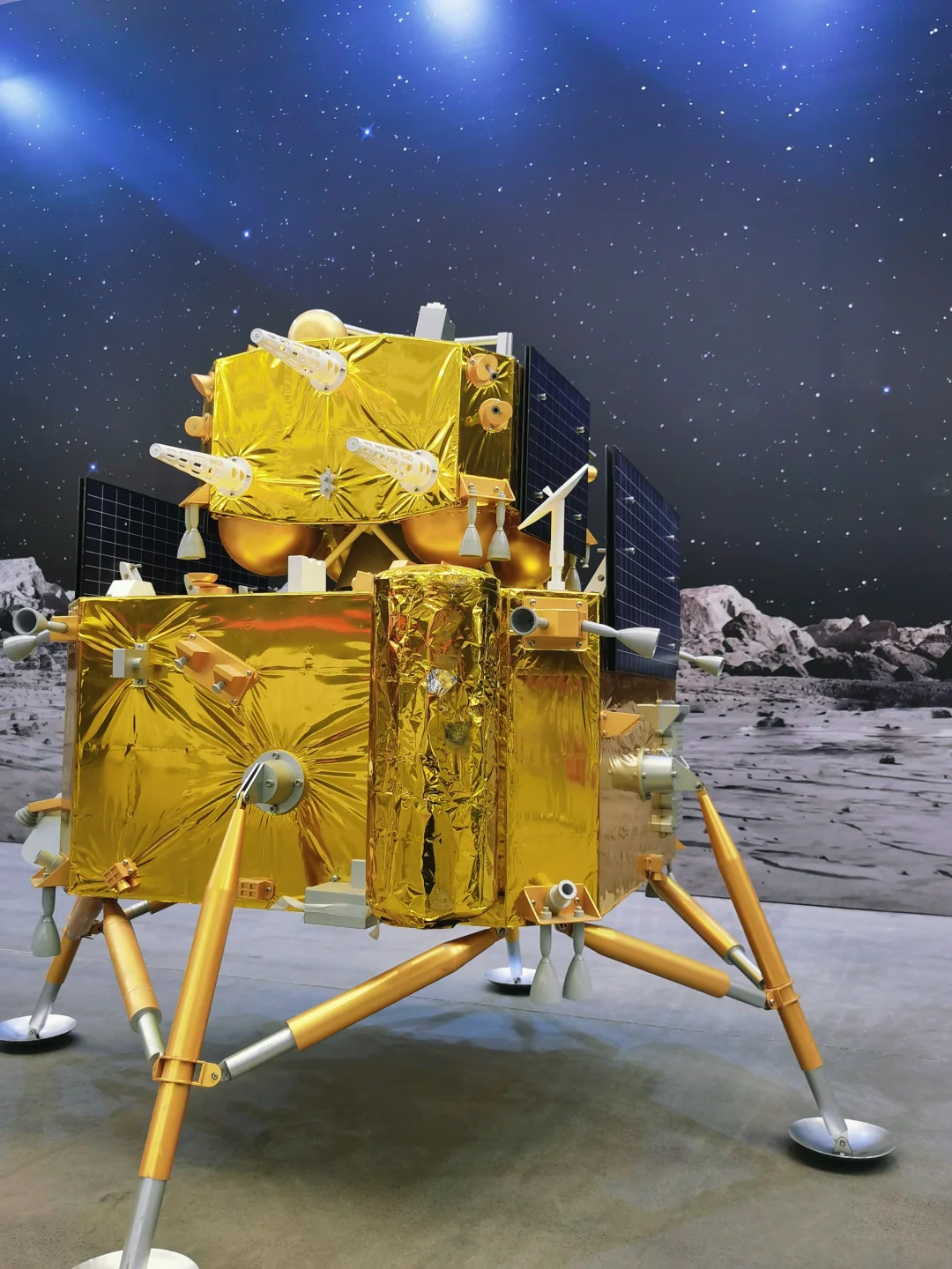 没错,我就是那个不听劝的大冤种!?