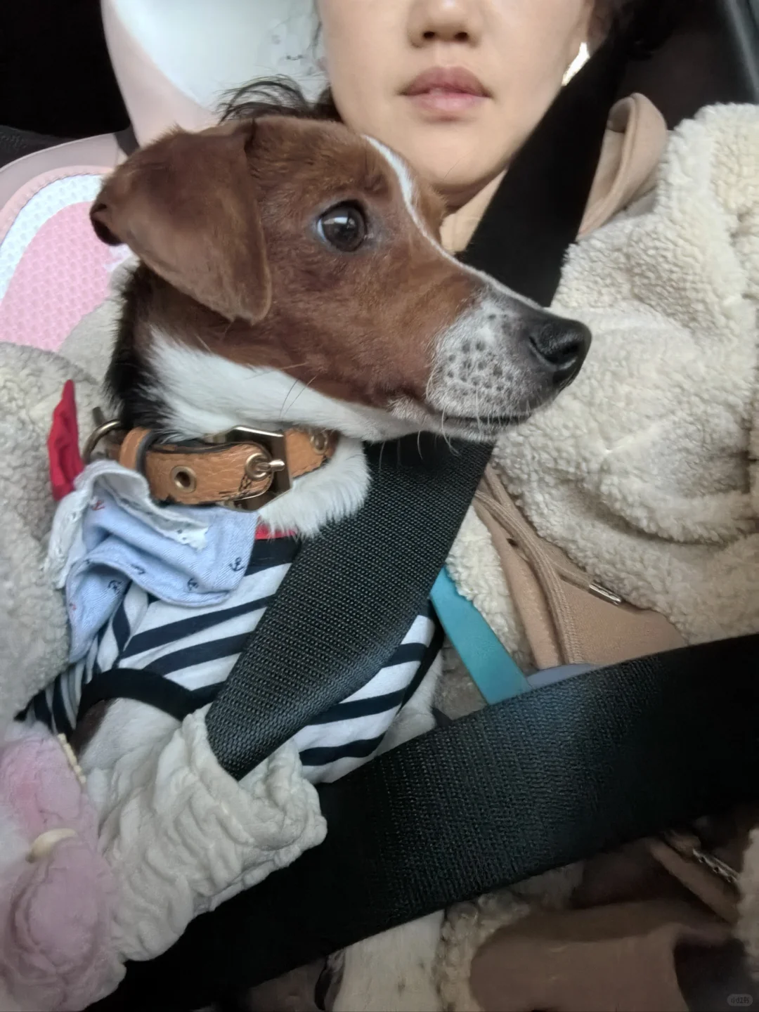 世宠会撸羊毛现场