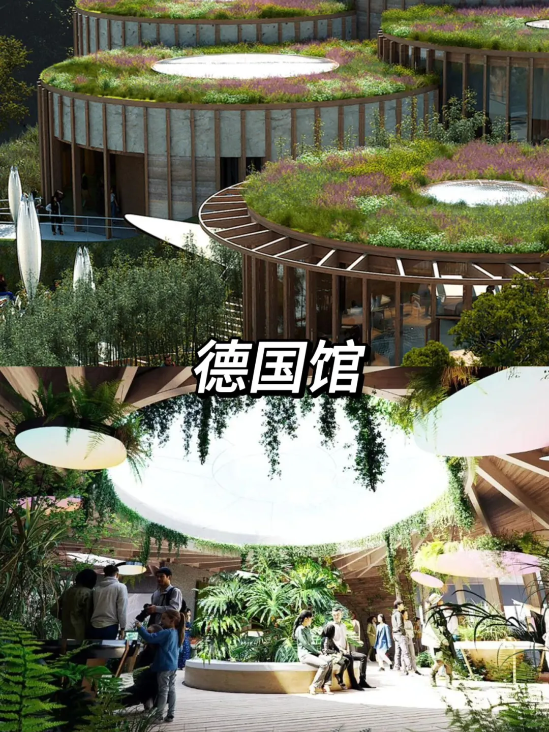 2025大阪世博会即将开幕‼️活动亮点抢先看