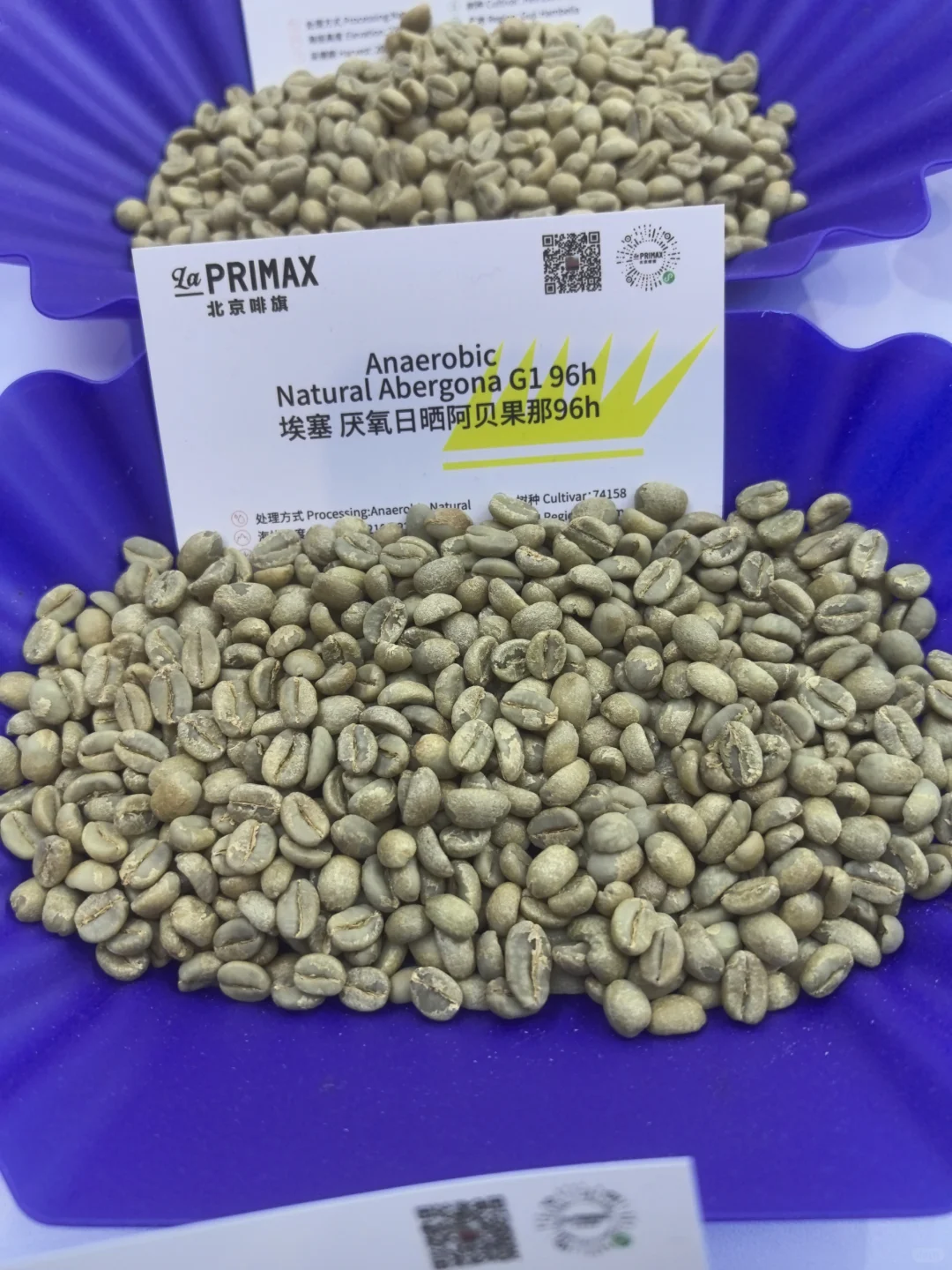 Hotelex，收获满满