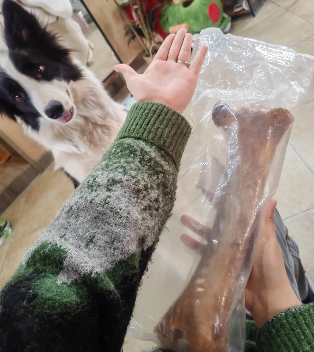 好玩✌️爱玩✌️