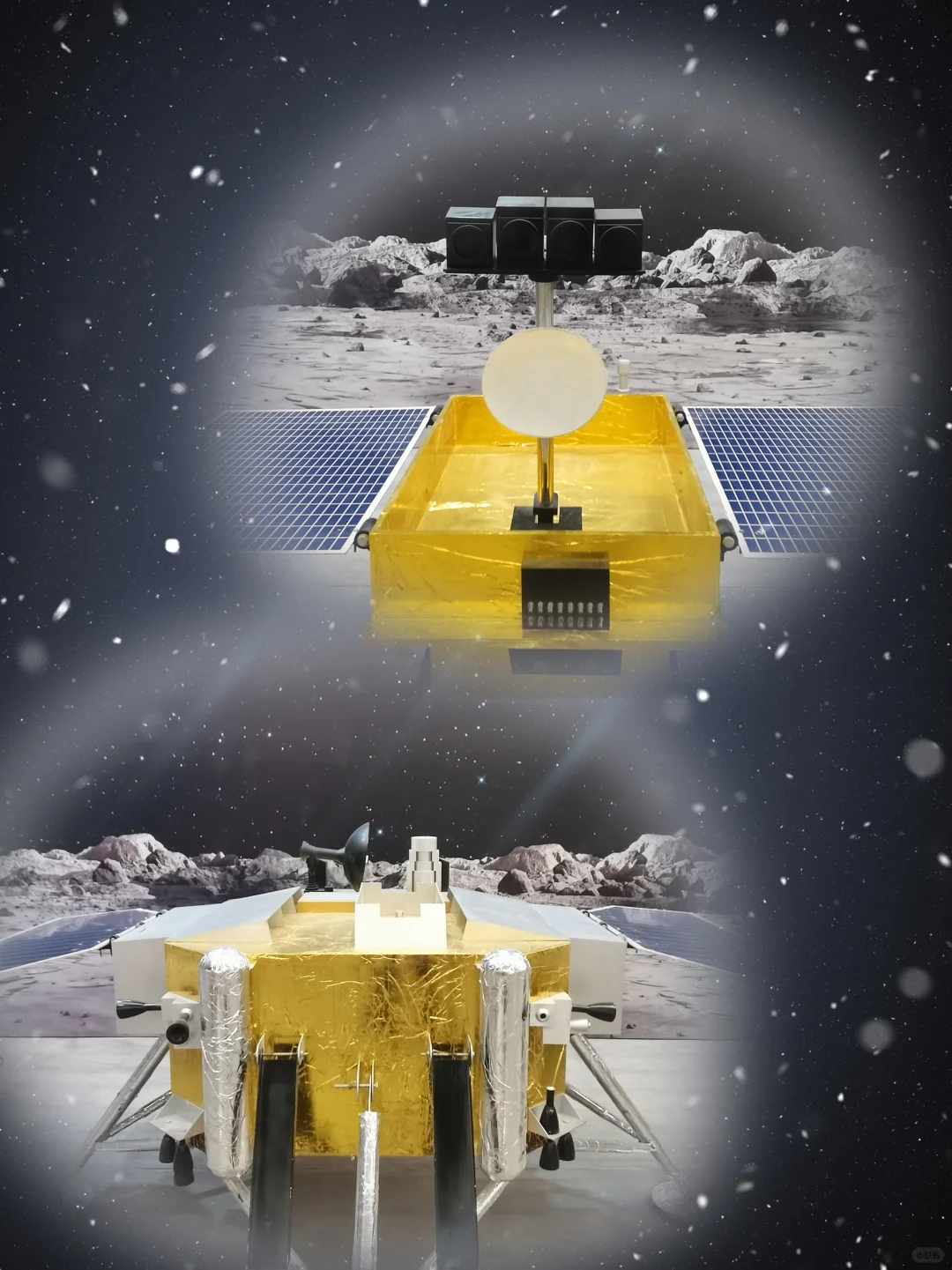 没错,我就是那个不听劝的大冤种!?