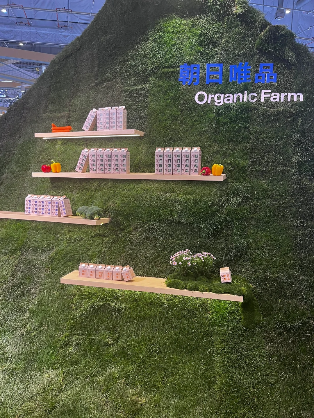 朝日唯品 上海国家会展中心