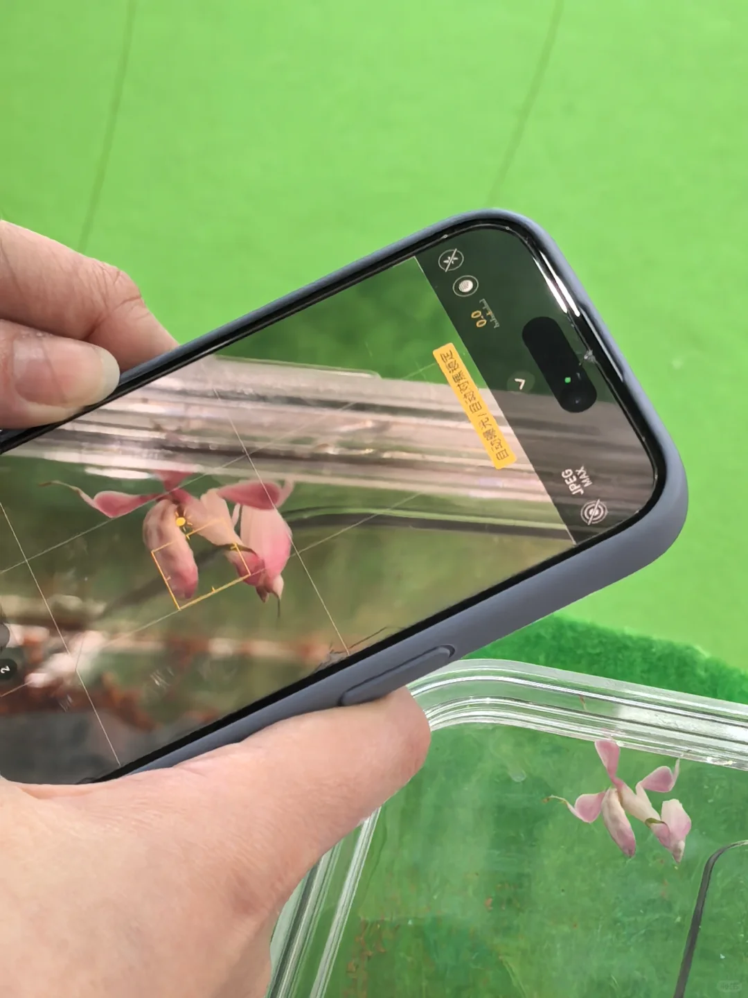 ?谁懂啊！逛完世界宠物博览会，我要养宠